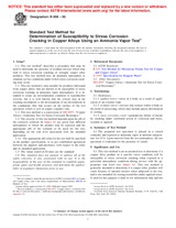NEPLATNÁ ASTM B858-95 10.10.2001 náhľad