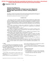 NEPLATNÁ ASTM D1002-99 10.10.2001 náhľad