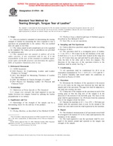 NEPLATNÁ ASTM D4704-00 10.9.2000 náhľad