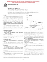 NEPLATNÁ ASTM D5052-00 10.9.2000 náhľad