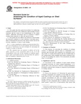 NEPLATNÁ ASTM D5065-01 10.6.2001 náhľad