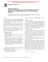 NEPLATNÁ ASTM D5894-96 1.1.1996 náhľad