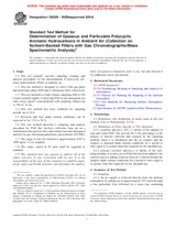 NEPLATNÁ ASTM D6209-98(2004) 1.10.2004 náhľad