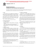 NEPLATNÁ ASTM D6287-98 10.7.1998 náhľad