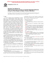 NEPLATNÁ ASTM D7313-07 15.3.2007 náhľad