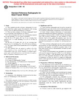 NEPLATNÁ ASTM E390-95 10.6.2001 náhľad