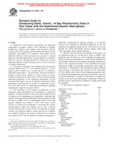 NEPLATNÁ ASTM E1913-97 10.10.1997 náhľad