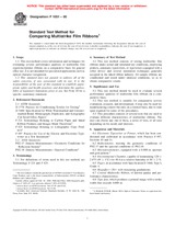 NEPLATNÁ ASTM F1051-00 10.2.2000 náhľad