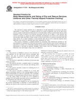 NEPLATNÁ ASTM F1731-96(2002) 10.8.1996 náhľad