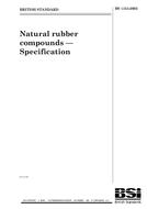 Norma BS 1154:2003 18.6.2003 náhľad