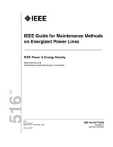 NEPLATNÁ IEEE 516-2009 24.6.2009 náhľad