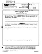 Neaktuálna SAE AMS4925B 1.1.1982 náhľad