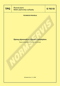 Norma TPG 70203 4.5.2005 náhľad