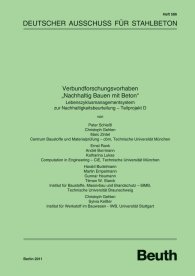 Publikácie  DAfStb-Heft 586; Verbundforschungsvorhaben 